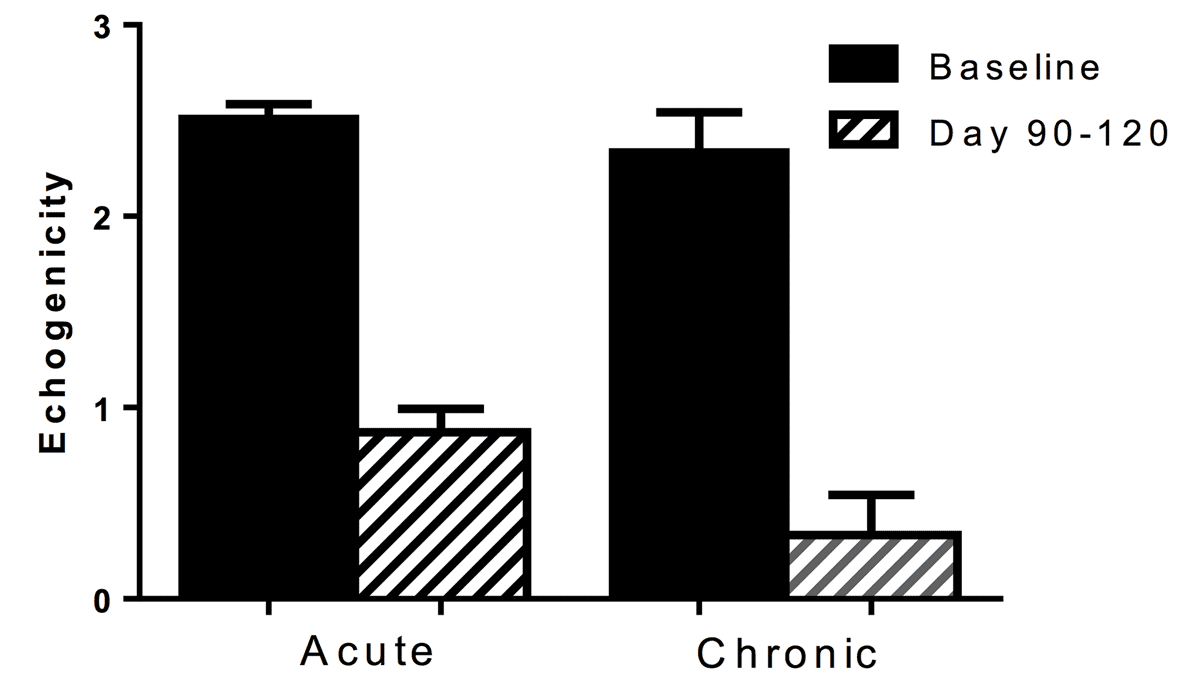 Figure 2 Echogenicity